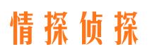 芦淞情探私家侦探公司